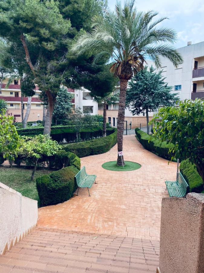 Apartamento Mil Palmeras Pilar de la Horadada Εξωτερικό φωτογραφία